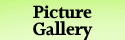 Picture Gallery